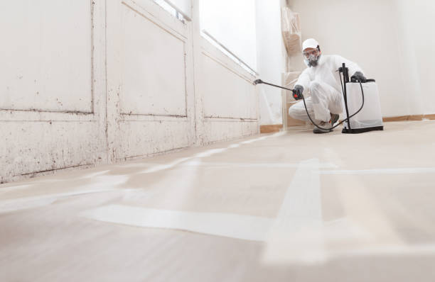 24/7 Emergency Basement Mold Remediation experts in Concord, MA